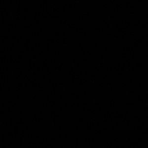 Meet your Posher, Riley